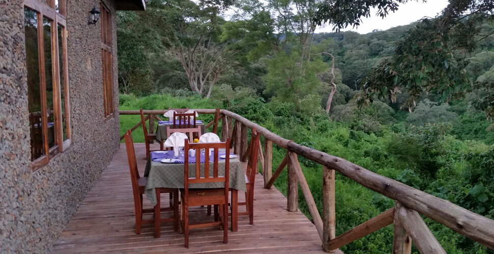 Hhando Coffee Lodge / Karatu 4