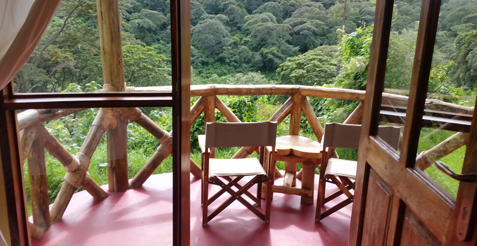 Hhando Coffee Lodge / Karatu 5