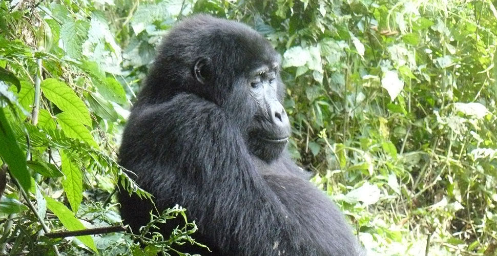 No.5 Boutique Hotel / Uganda - Entebbe 8