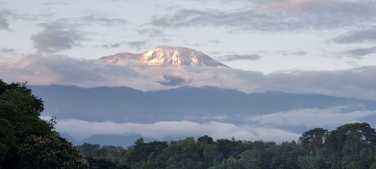 Kaliwa Lodge Kilimanjaro / Moshi-Machame 3