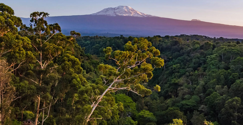 Kaliwa Lodge Kilimanjaro / Moshi-Machame 1