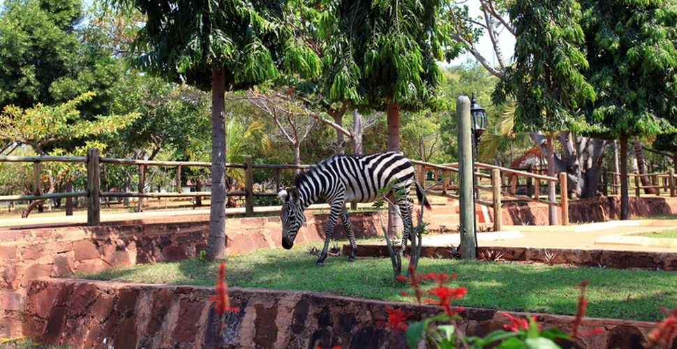 Kigoma Hilltop Hotel / Tanganjikasee 9