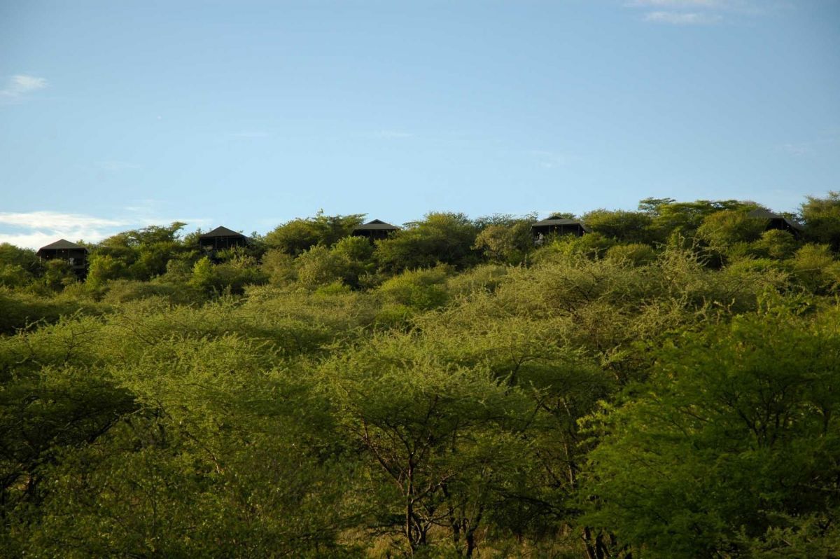 Kirawira Serena Camp / Serengeti 4