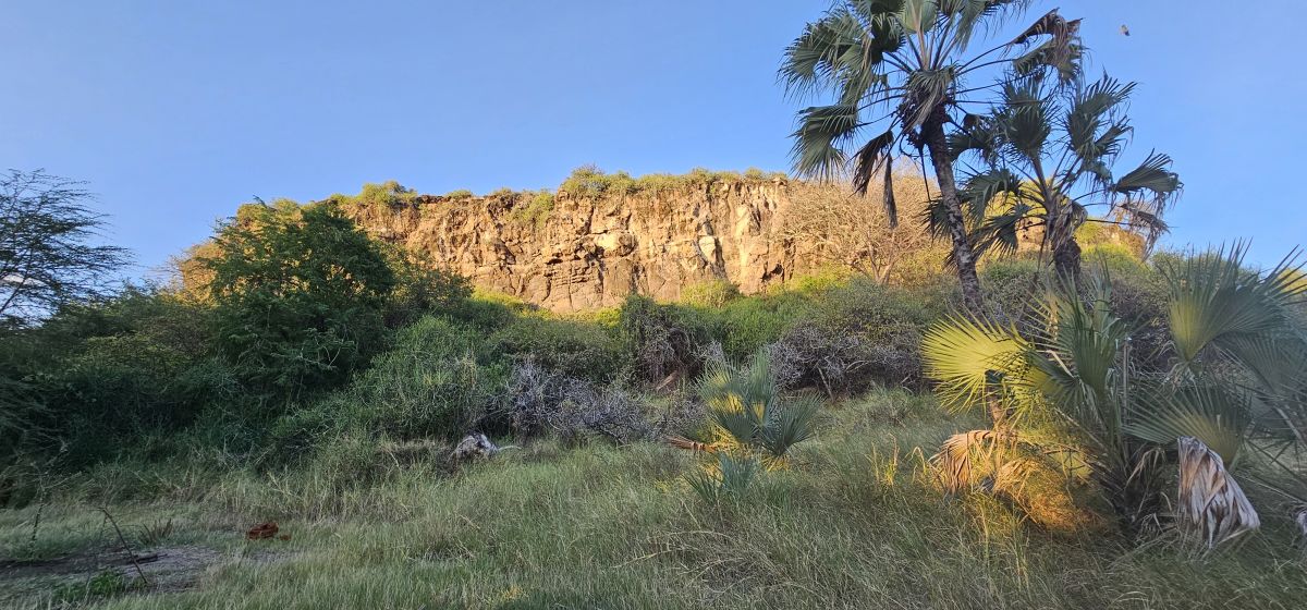 Kisima Ngeda Camp / Lake Eyasi 3