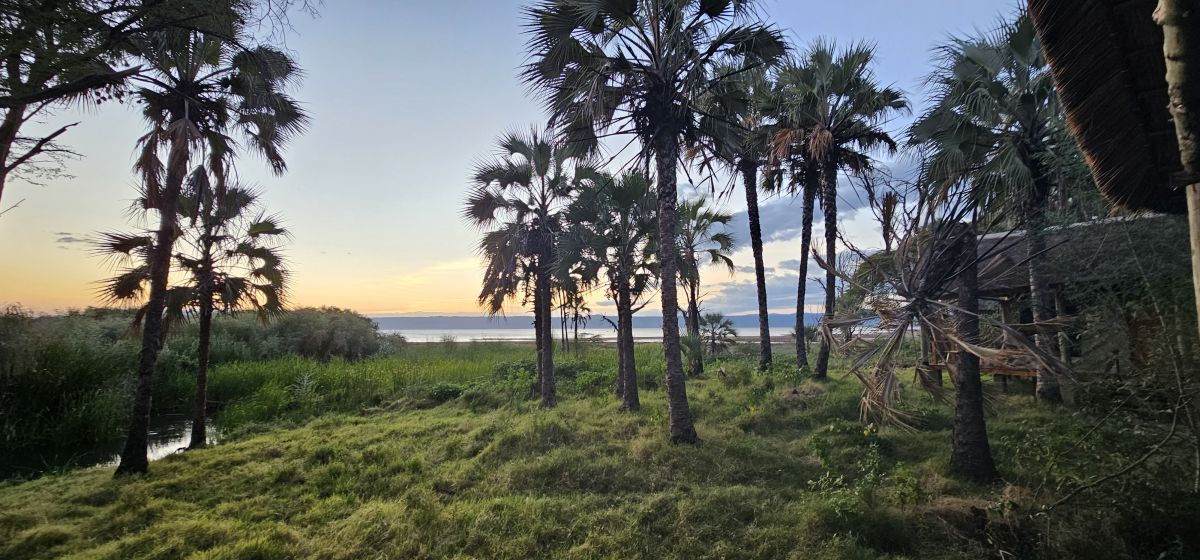 Kisima Ngeda Camp / Lake Eyasi 7