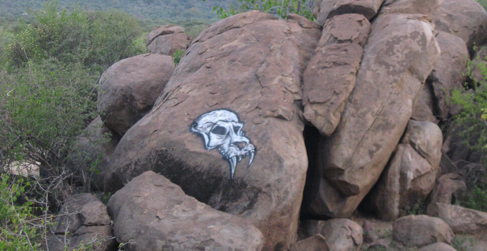 Eyasi Safari Lodge / Eyasi See 5