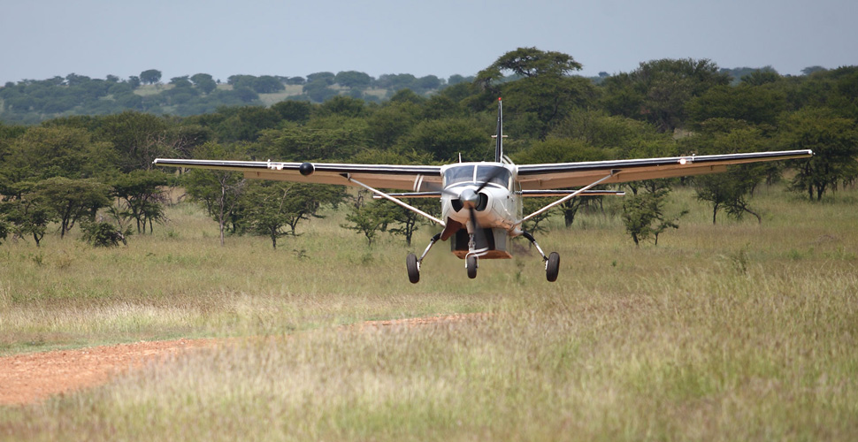 Lake Manyara Tree Lodge 6