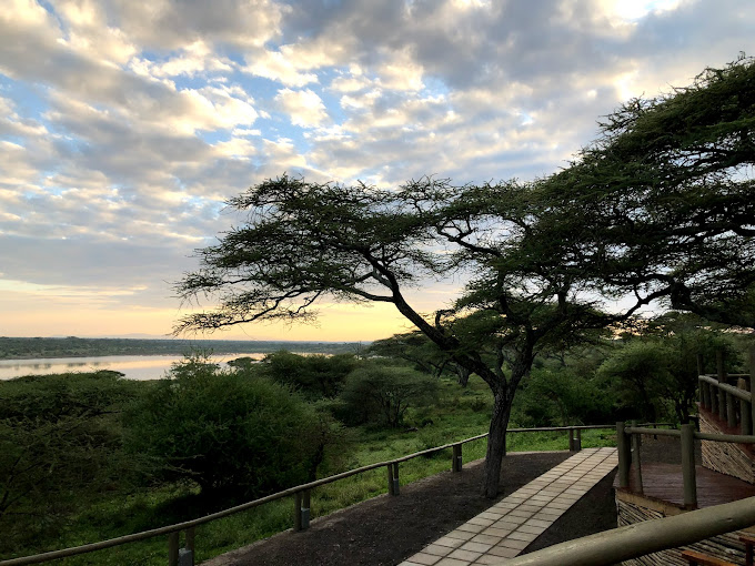Lake Masek Tented Lodge / Ndutu Region 5