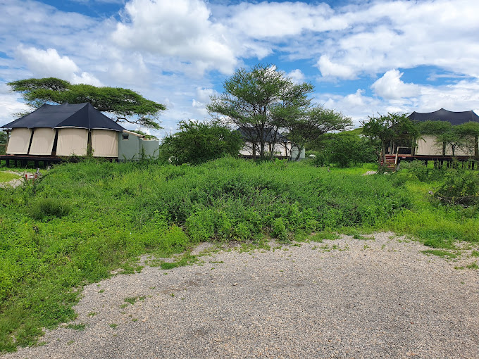Lake Masek Tented Lodge / Ndutu Region 11