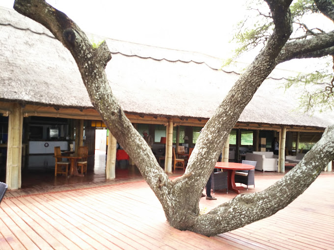 Lake Masek Tented Lodge / Ndutu Region 7