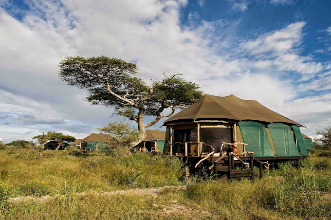 Lake Masek Tented Lodge / Ndutu Region 13