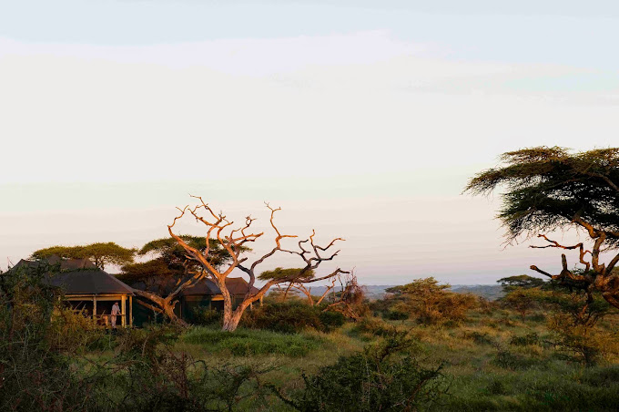 Lake Masek Tented Lodge / Ndutu Region 1