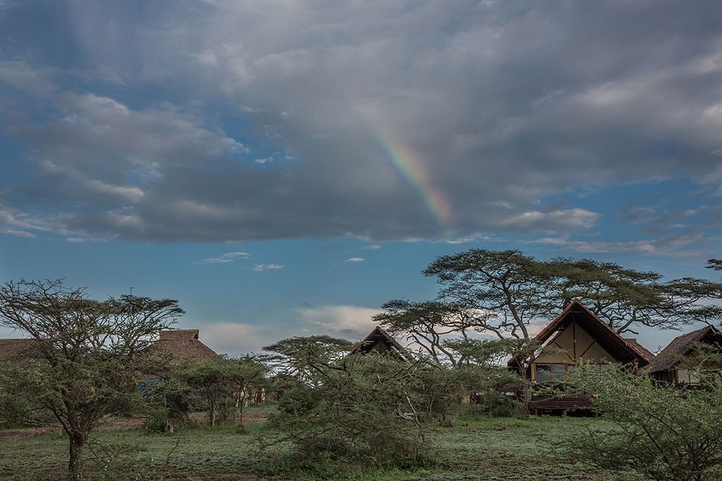 Lake Ndutu Luxury Tented Lodge 17
