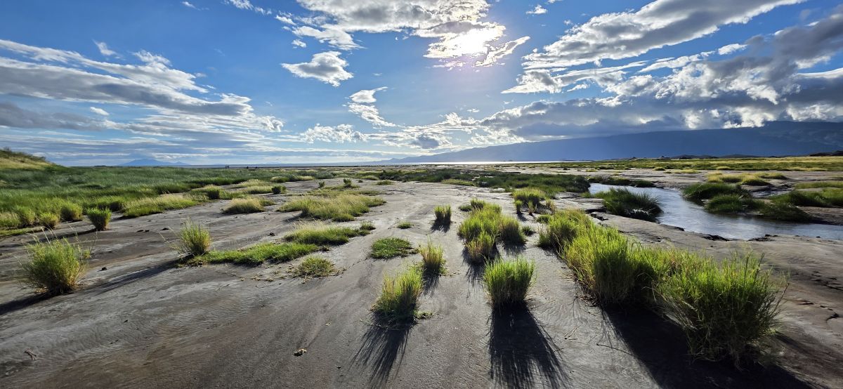 Maasai Giraffe Eco Lodge / Lake Natron 6