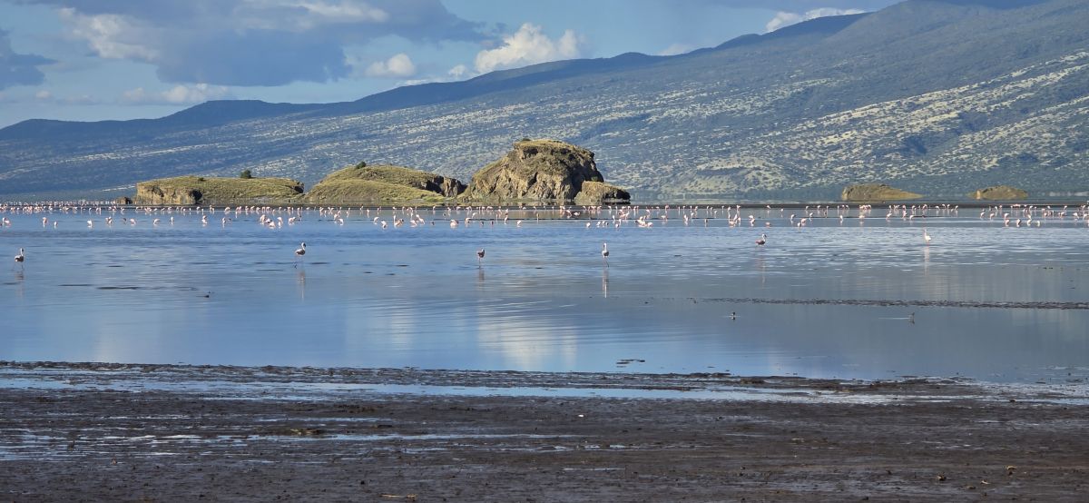 Maasai Giraffe Eco Lodge / Lake Natron 8