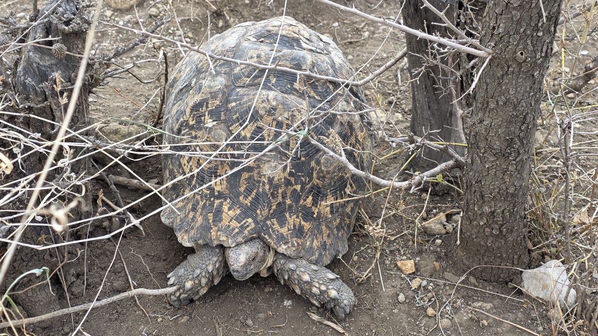 Maasai Sacred Site Mukuru „The Cave“ / Africa Amini Life 16