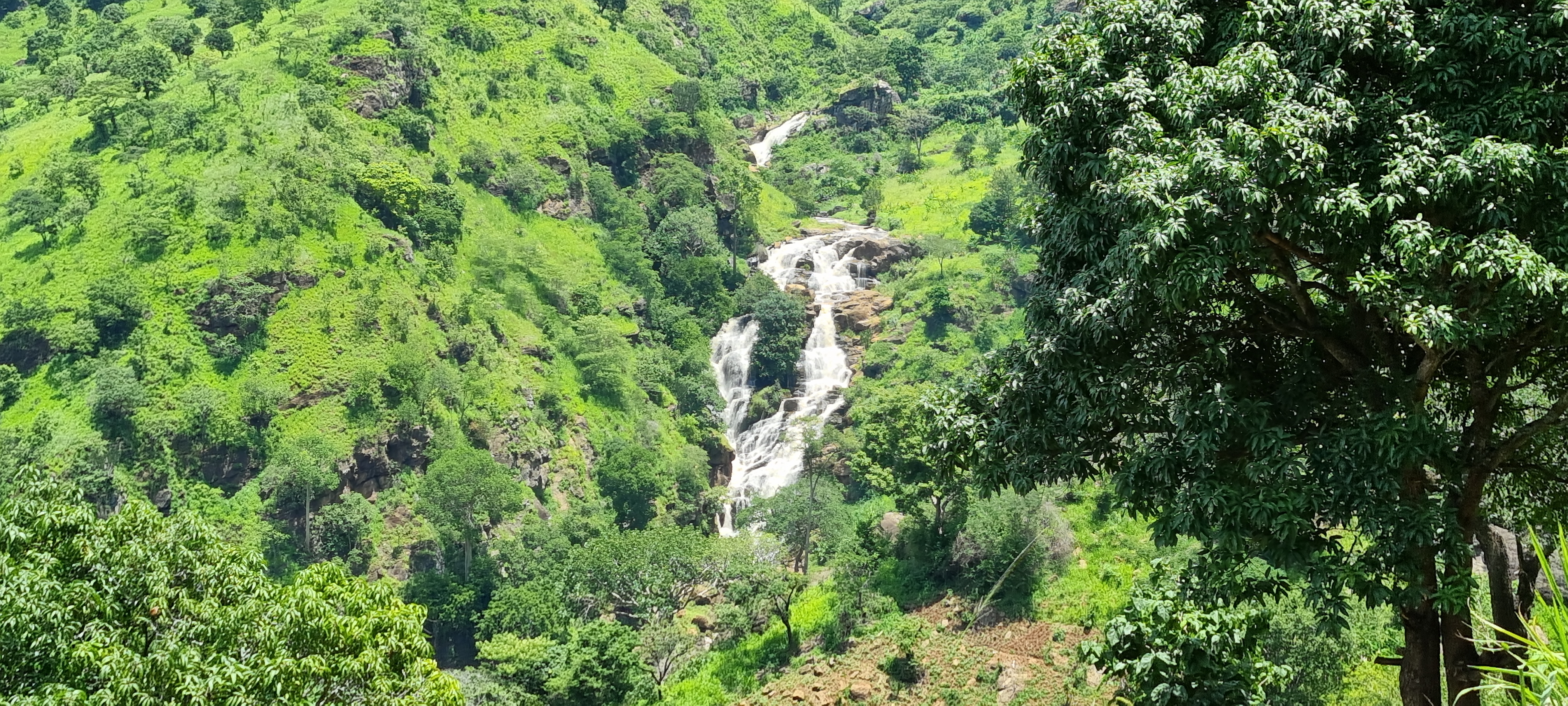 Mambo View Point Eco Lodge / Lushoto 13