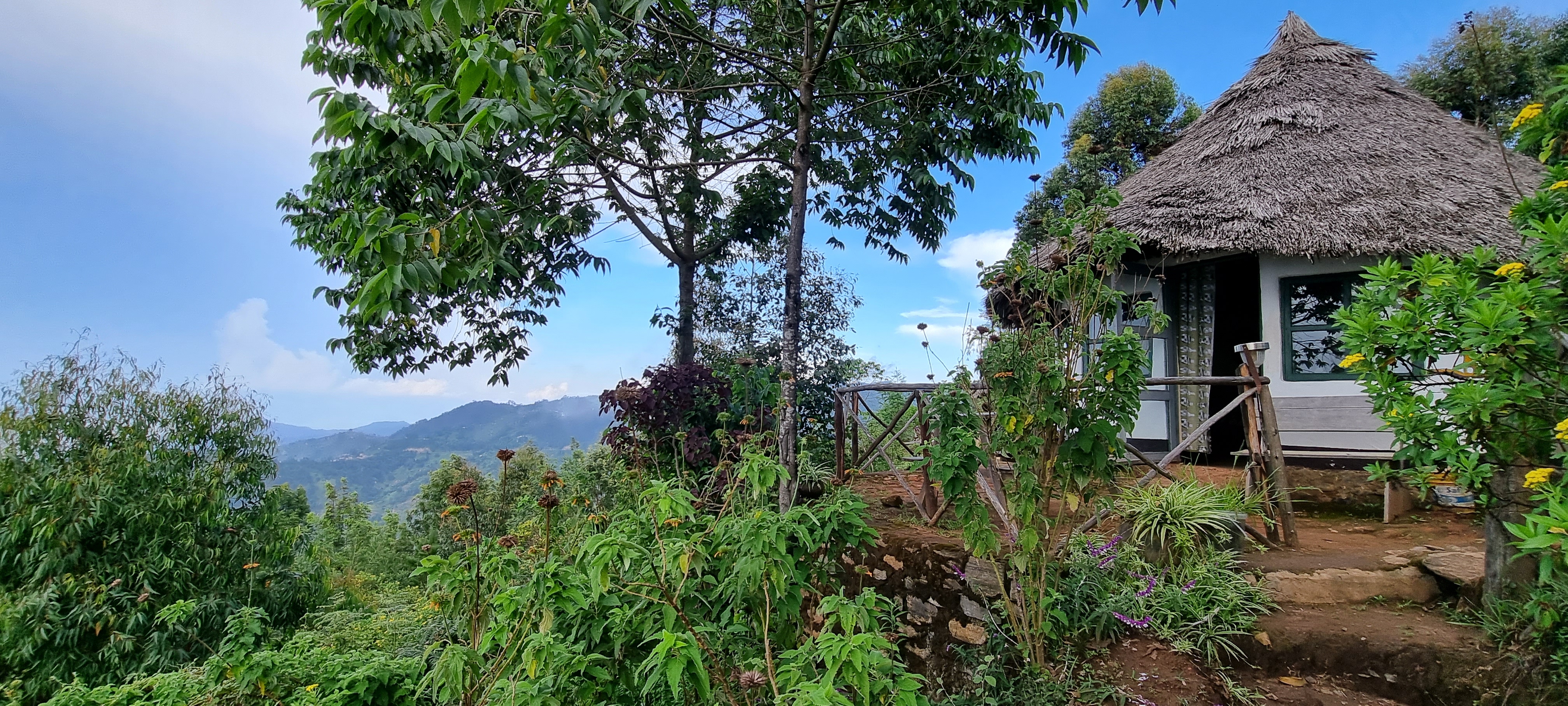 Mambo View Point Eco Lodge / Lushoto 21