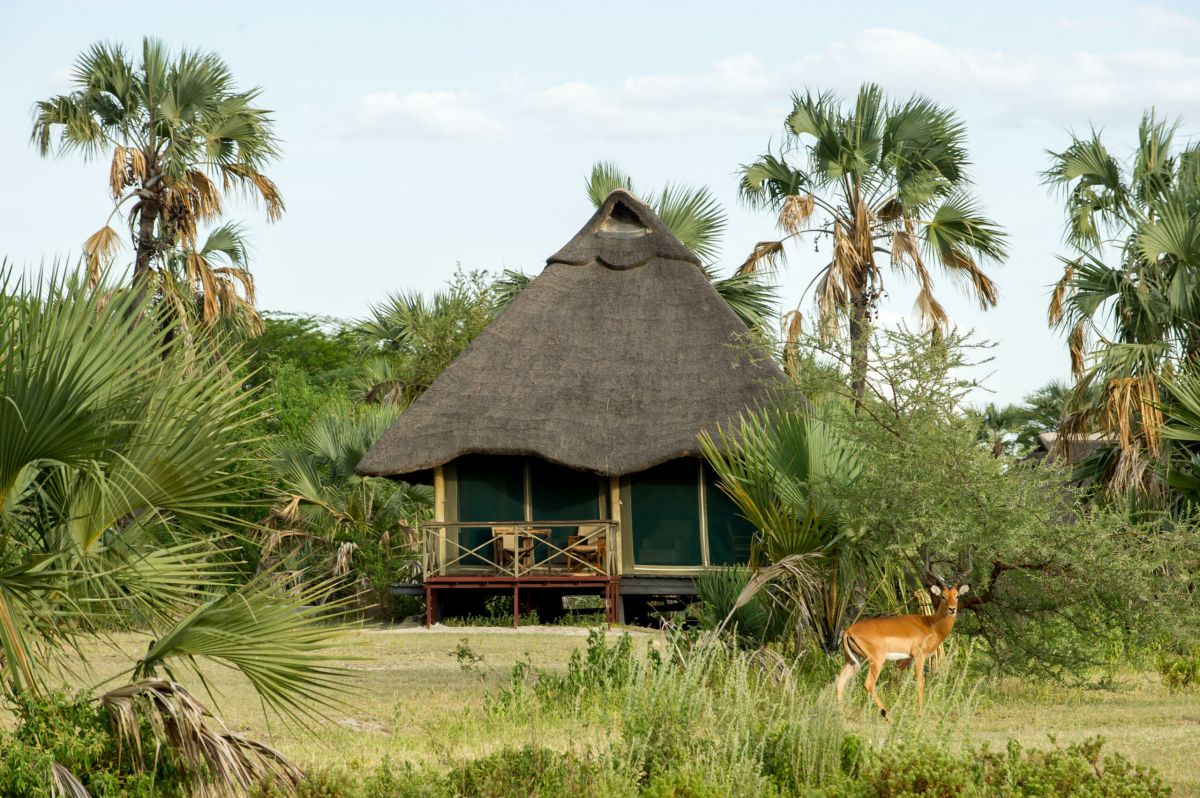 Maramboi Tented Camp / Lake Manyara 11