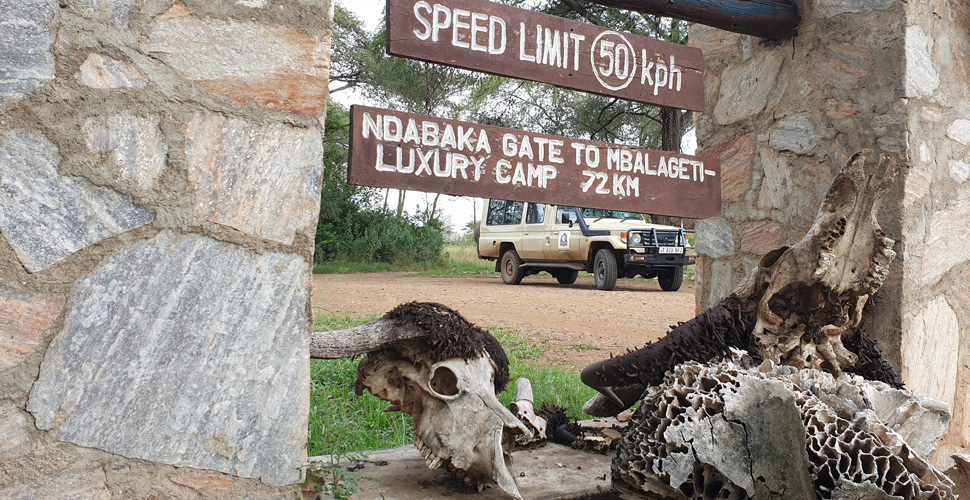 Mbalageti Serengeti 5