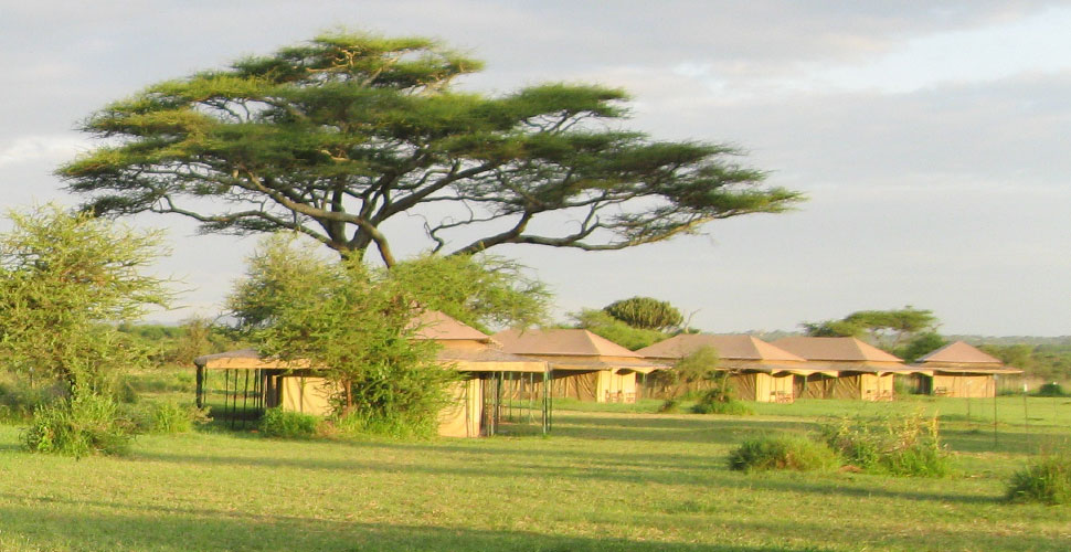 Seronera Mbugani Camp / Serengeti 1