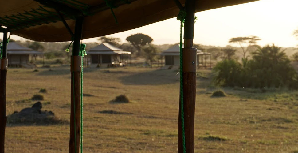 Seronera Mbugani Camp / Serengeti 2