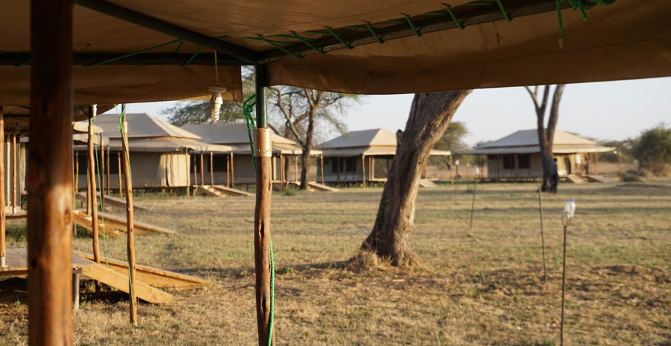 Seronera Mbugani Camp / Serengeti 3