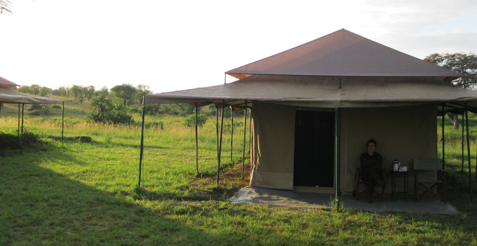 Seronera Mbugani Camp / Serengeti 5