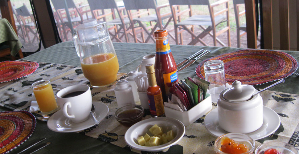 Seronera Mbugani Camp / Serengeti 6