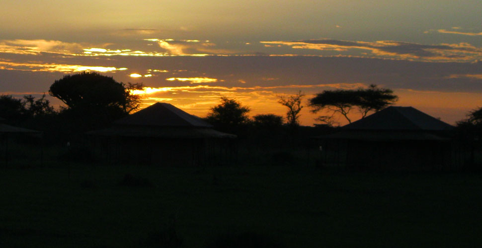 Seronera Mbugani Camp / Serengeti 8