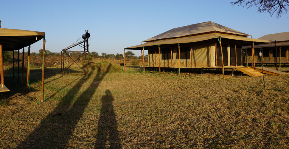 Seronera Mbugani Camp / Serengeti 9