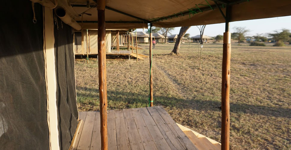 Seronera Mbugani Camp / Serengeti 10