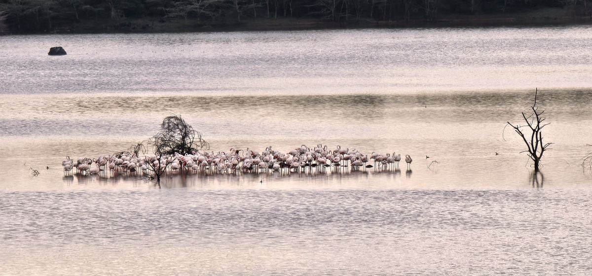 Momella Wildlife Lodge / Arusha Nationalpark 30