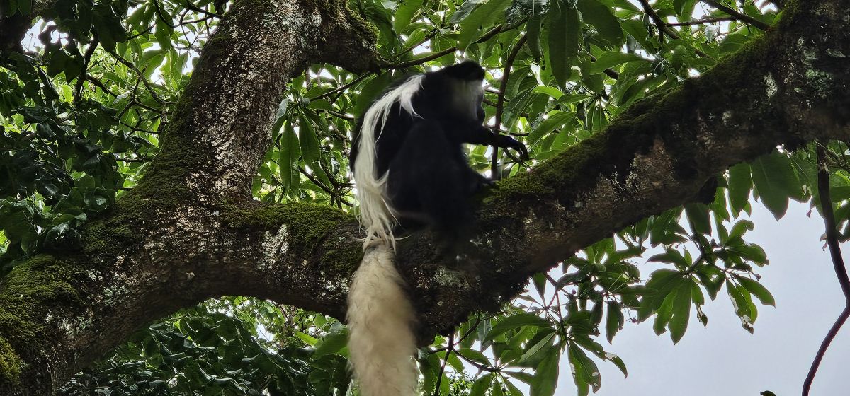 Momella Wildlife Lodge / Arusha Nationalpark 24