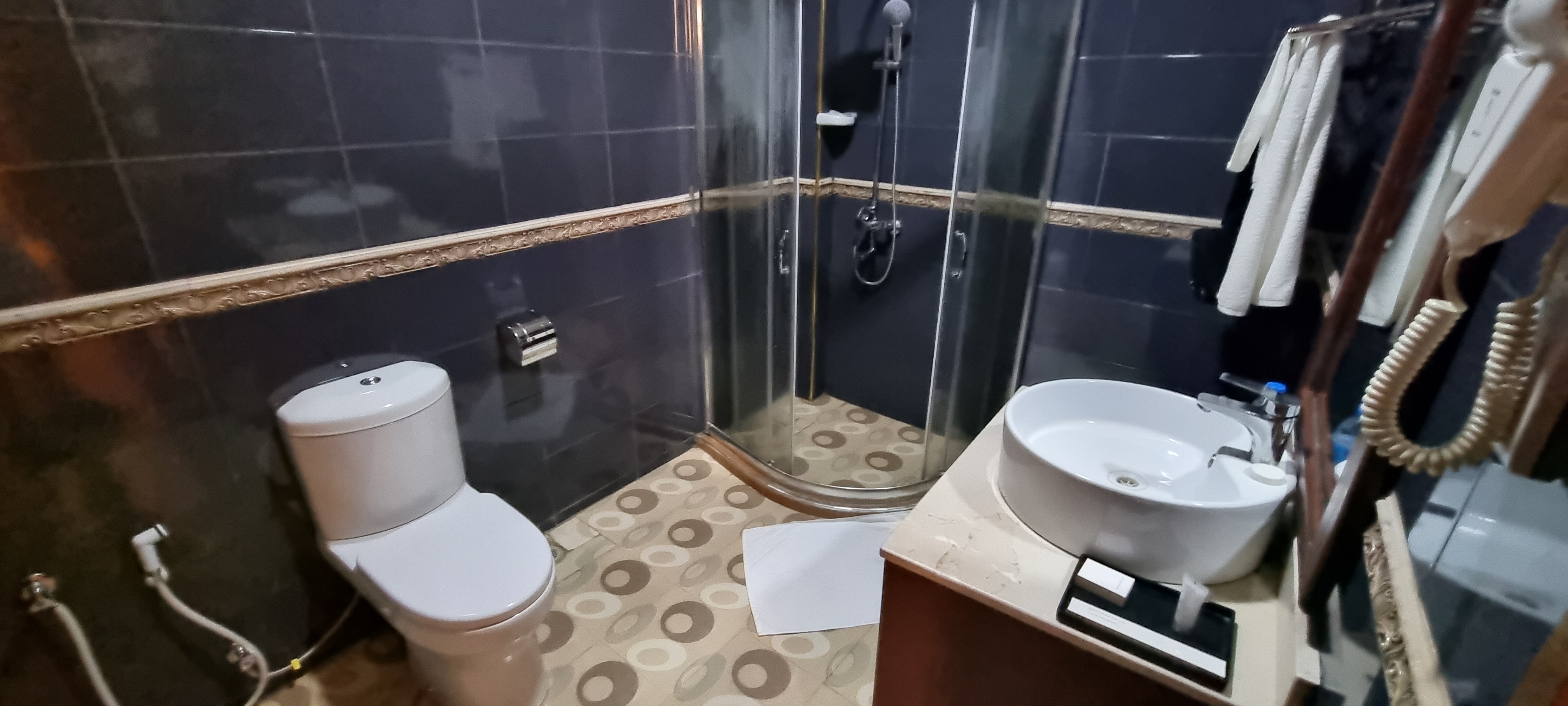 Mount Royal Villa Hotel / Iringa 6