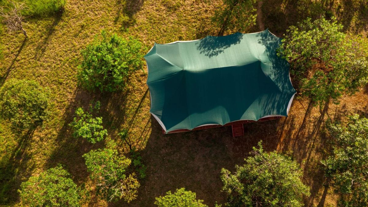 Moyo Tented Camp / Serengeti 12