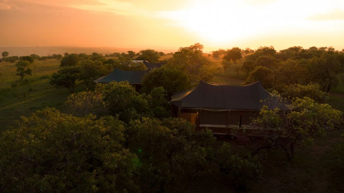 Moyo Tented Camp / Serengeti 11