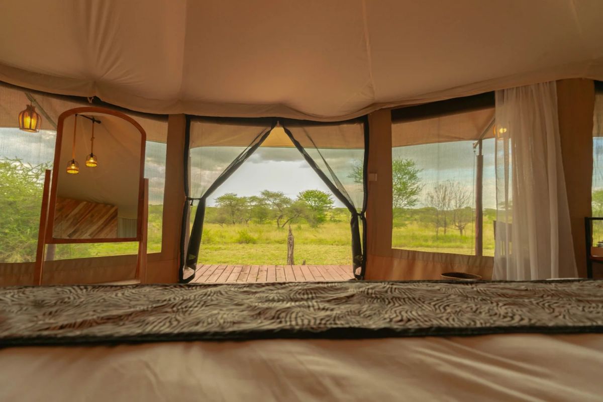 Moyo Tented Camp / Serengeti 9