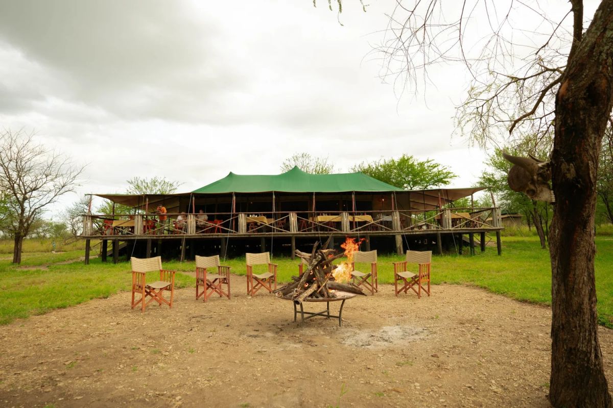Moyo Tented Camp / Serengeti 13