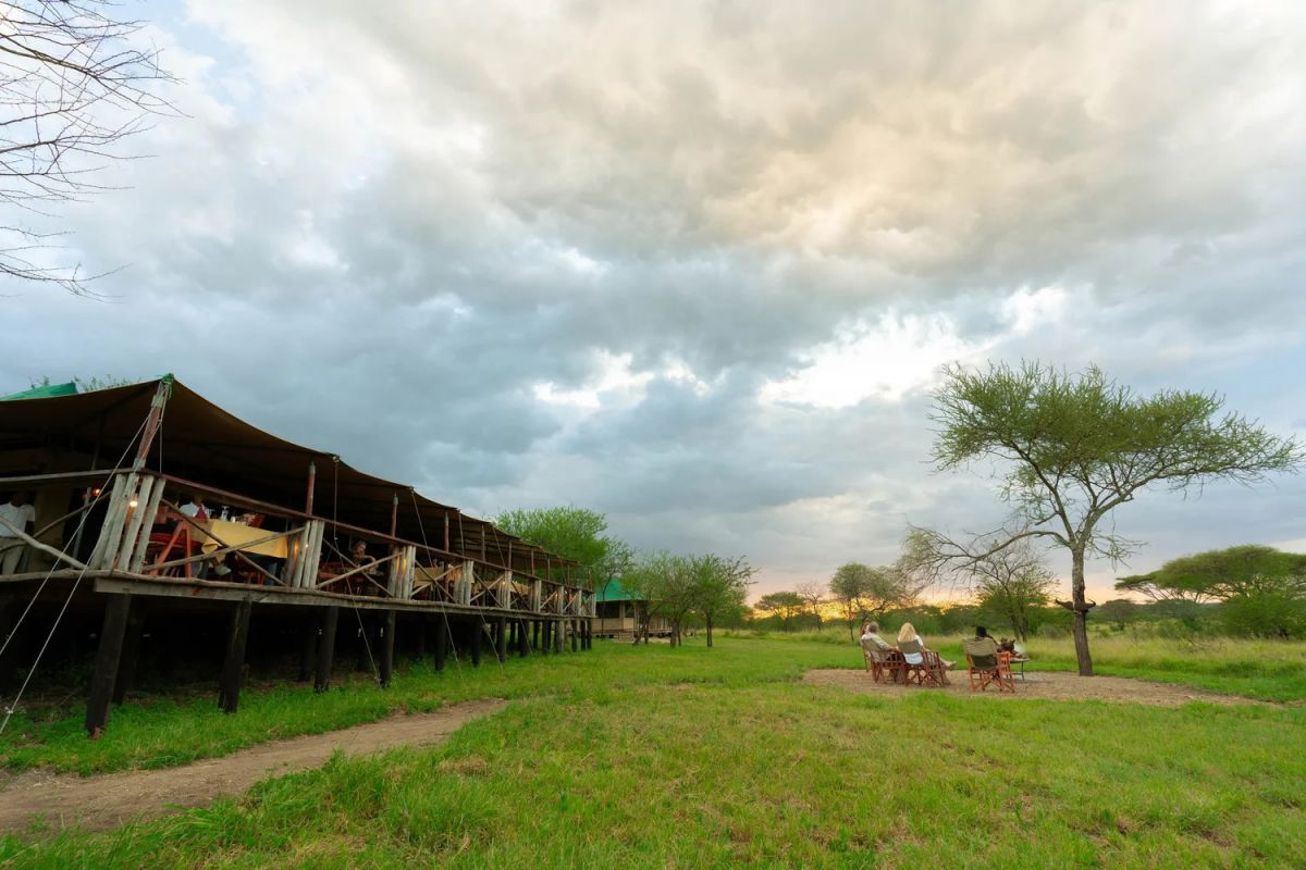 Moyo Tented Camp / Serengeti 1