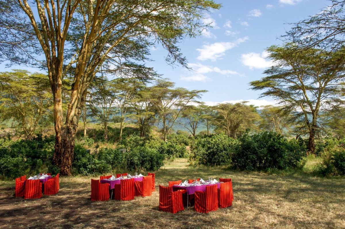 Ngorongoro Serena Safari Lodge 5