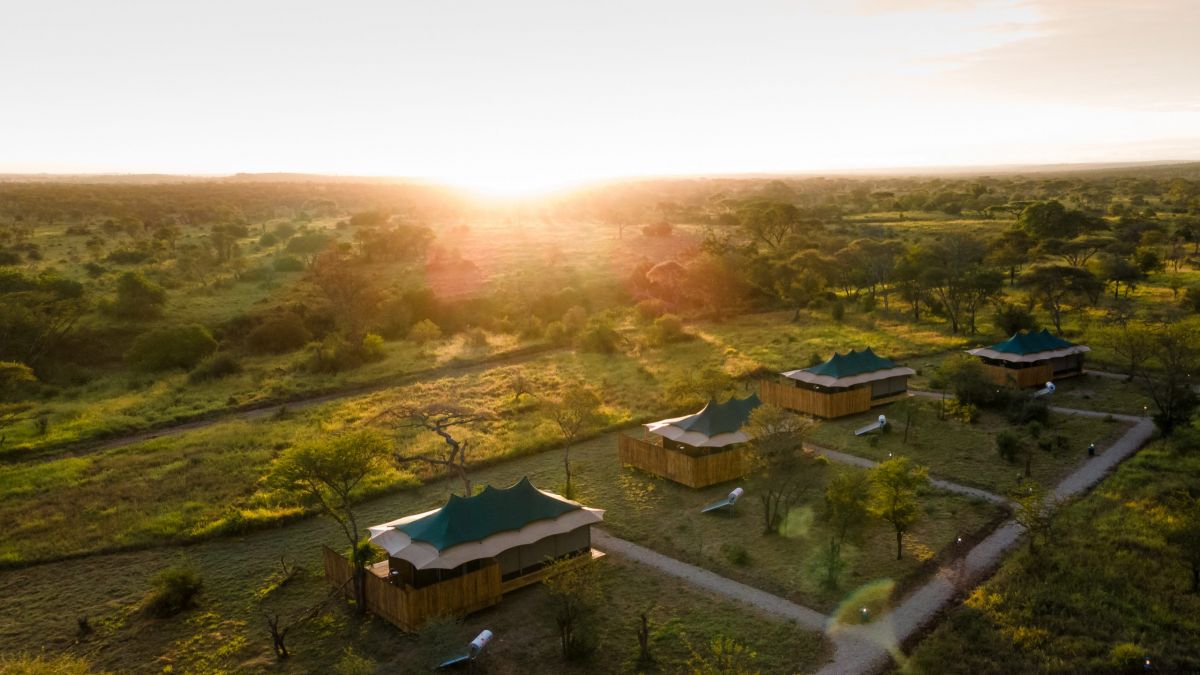 Nyota Luxury Camp / Serengeti 2