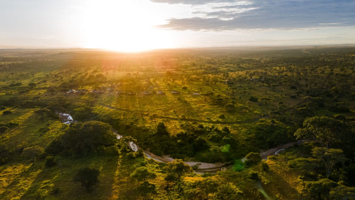 Nyota Luxury Camp / Serengeti 3