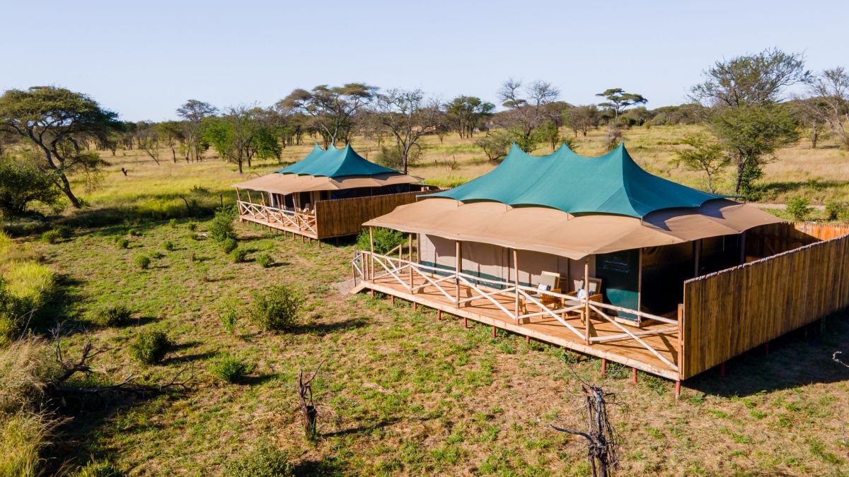 Nyota Luxury Camp / Serengeti 16