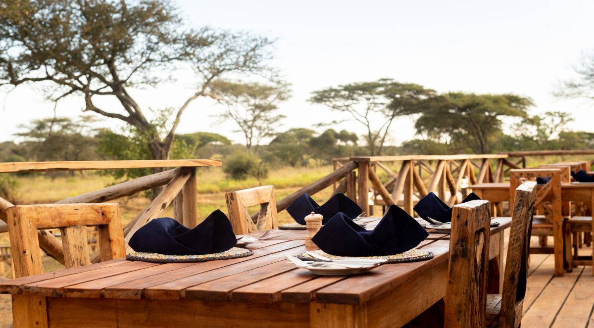 Nyota Luxury Camp / Serengeti 5