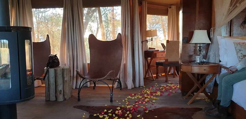 ONE NATURE Nyaruswiga Safari Camp 10