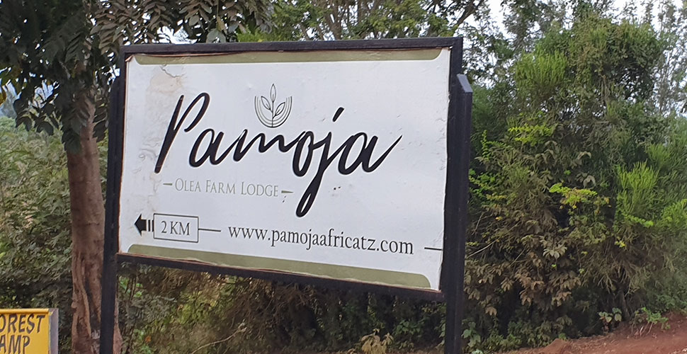 Pamoja Olea Farm Lodge / Karatu 4