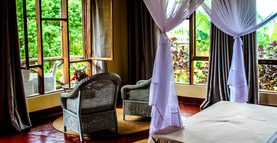 Pamoja Olea Farm Lodge / Karatu 5