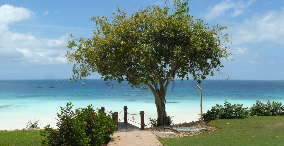 Hotel RIU Palace Zanzibar 1