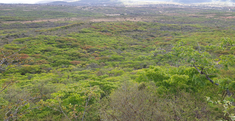 River Side Park / Kondoa 14